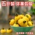 贵州当季新鲜刺梨果鲜果现摘泡酒榨汁新果刺梨整箱包邮