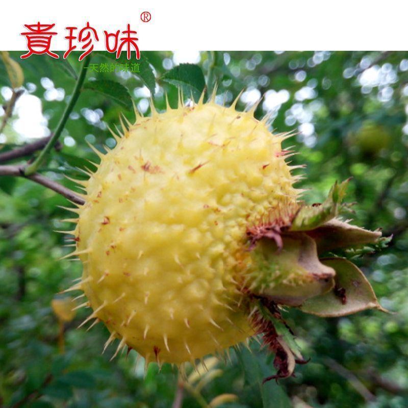 贵州当季新鲜刺梨果鲜果现摘泡酒榨汁新果刺梨整箱包邮