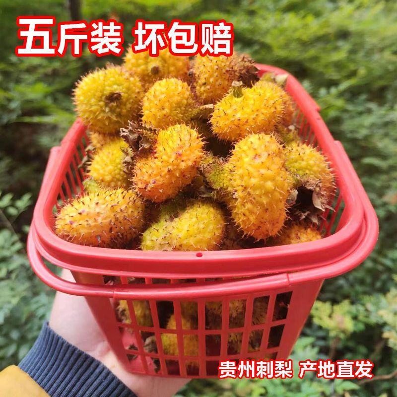 贵州当季新鲜刺梨果鲜果现摘泡酒榨汁新果刺梨整箱包邮