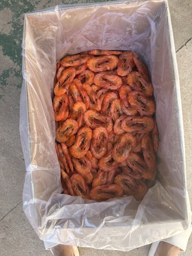 盐田烤虾大量上市价格优惠品质保证货源充足