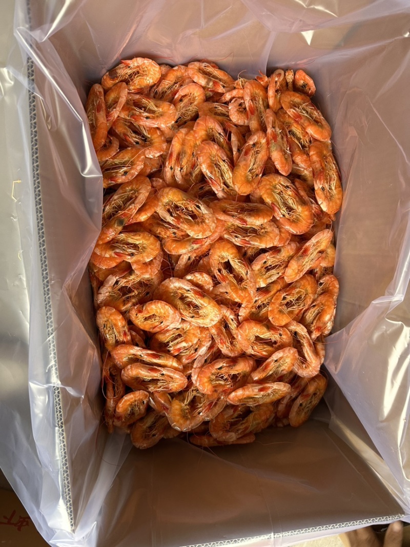 盐田烤虾大量上市价格优惠品质保证货源充足