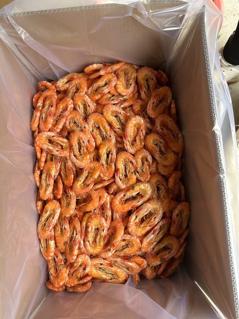 盐田烤虾大量上市价格优惠品质保证货源充足