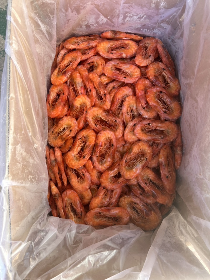 盐田烤虾大量上市价格优惠品质保证货源充足