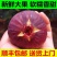 【顺丰包邮】新鲜无花果鲜果现摘鲜无花果批发孕妇水果批发