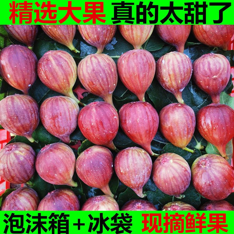 【顺丰包邮】新鲜无花果鲜果现摘鲜无花果批发孕妇水果批发
