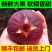 【顺丰包邮】新鲜无花果鲜果现摘鲜无花果批发孕妇水果批发