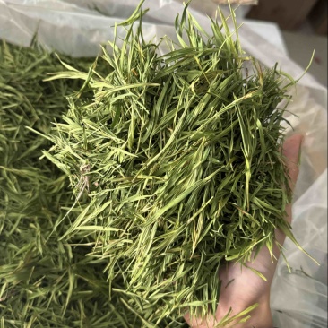 竹叶尖石竹竹叶青竹叶茶实拍发货如图现货