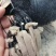 果园防鸟网拦鸟网防养殖护网种植网围栏网大棚出风口尼龙网