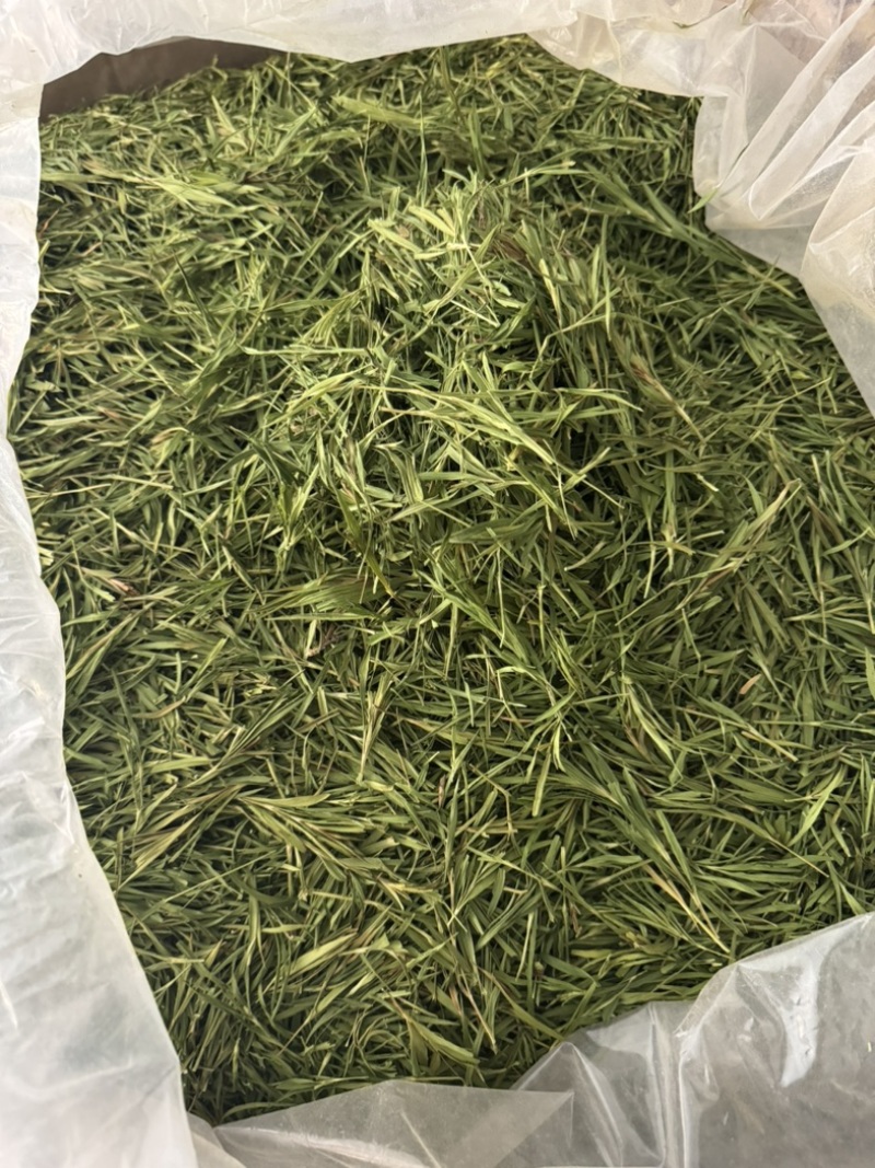 竹叶尖石竹竹叶青竹叶茶实拍发货如图现货