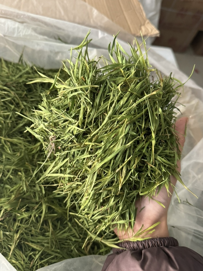 竹叶尖石竹竹叶青竹叶茶实拍发货如图现货