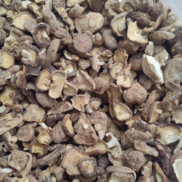 河北香菇承德香菇片干香菇常年供应价格实惠欢迎联系