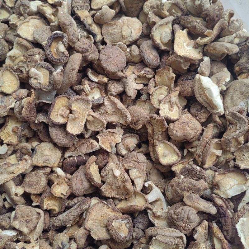 河北香菇承德香菇片干香菇常年供应价格实惠欢迎联系