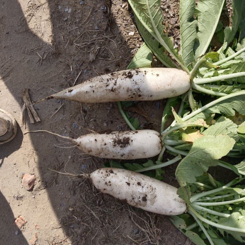 以质论价
