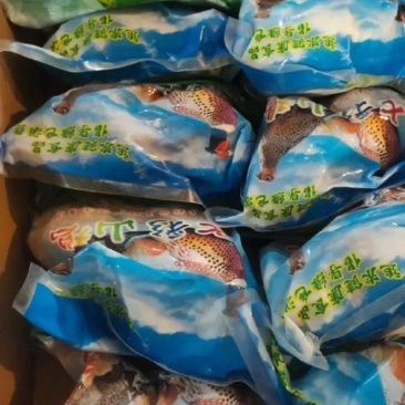 农家七彩山鸡（2斤—3斤以上）