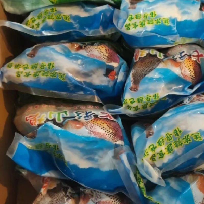 农家七彩山鸡（2斤—3斤以上）