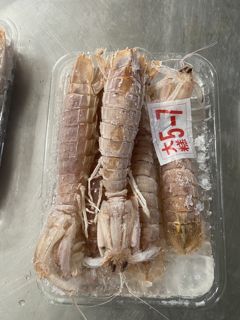 【精品】熟冻皮皮虾北海虾爬子特大赖尿虾批发