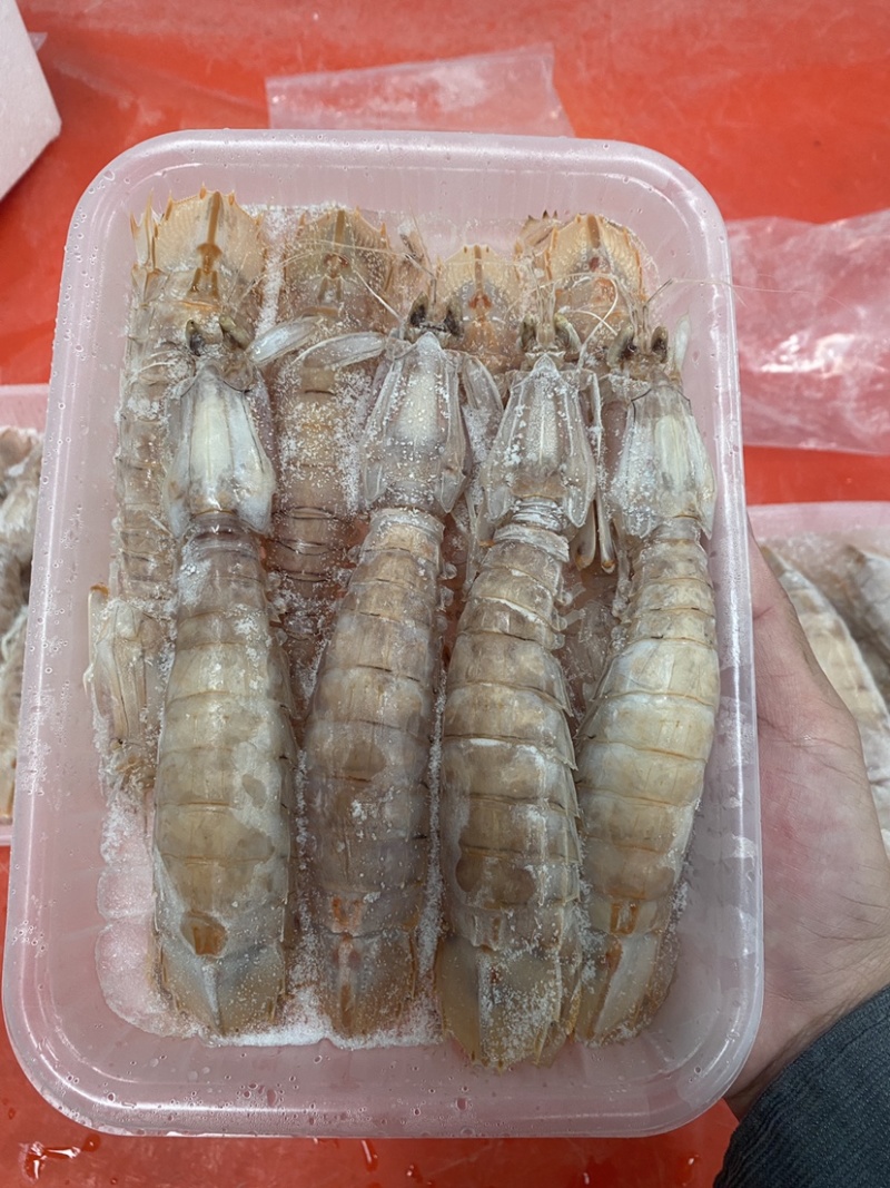【精品】熟冻皮皮虾北海虾爬子特大赖尿虾批发