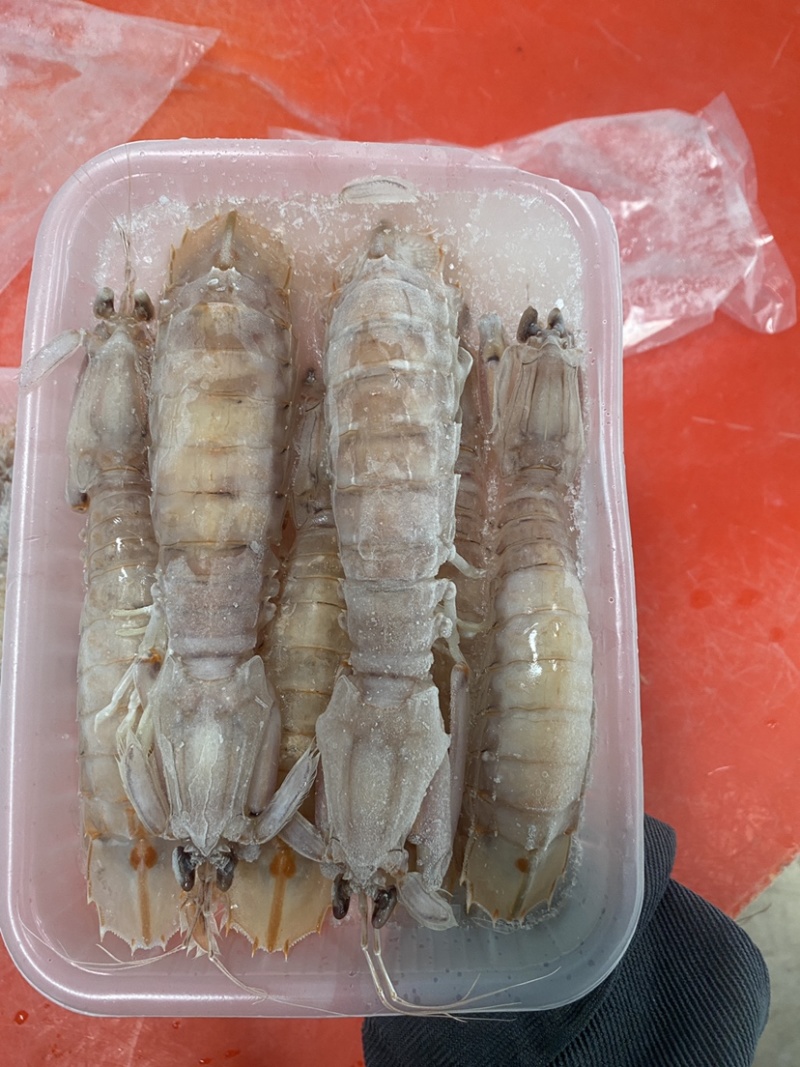 【精品】熟冻皮皮虾北海虾爬子特大赖尿虾批发