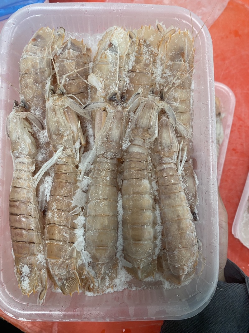 【精品】熟冻皮皮虾北海虾爬子特大赖尿虾批发