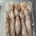 【精品】熟冻皮皮虾北海虾爬子特大赖尿虾批发