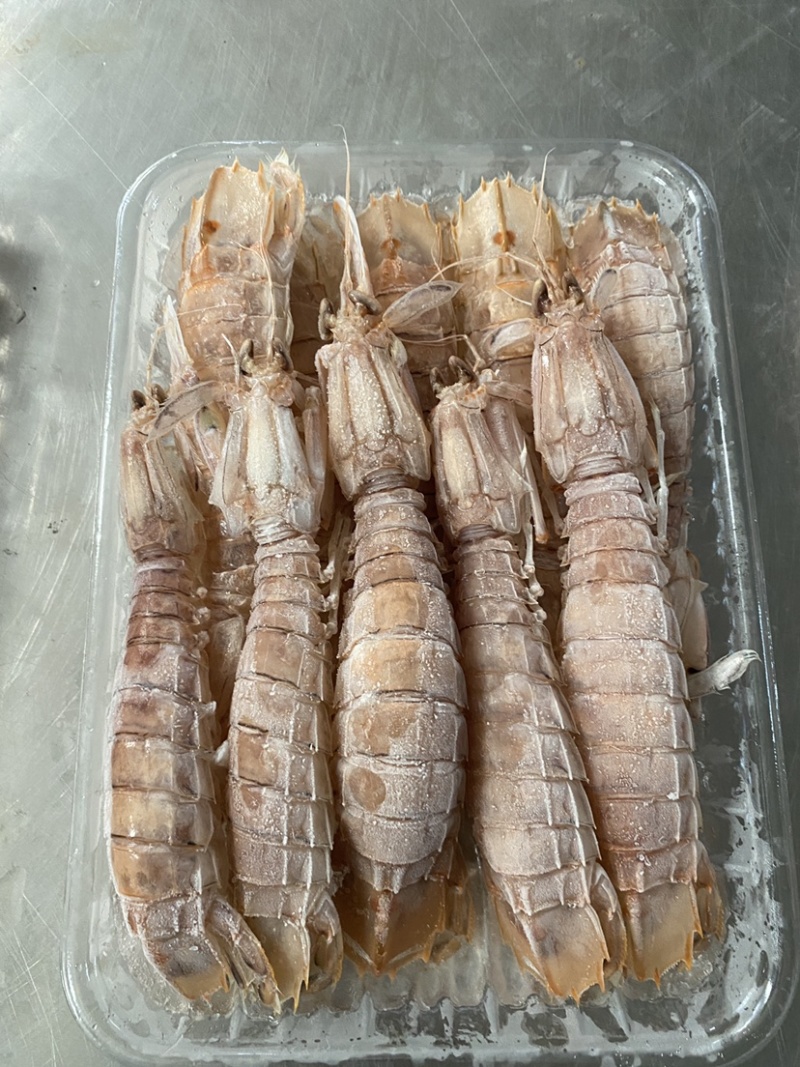 【精品】熟冻皮皮虾北海虾爬子特大赖尿虾批发