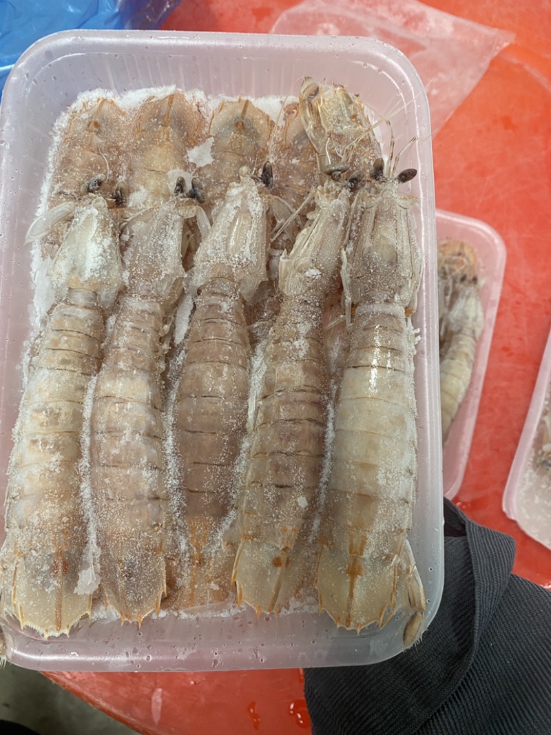 【精品】熟冻皮皮虾北海虾爬子特大赖尿虾批发