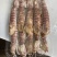 【质量稳定】北海皮皮虾虾爬子赖尿虾各规格齐全海虾