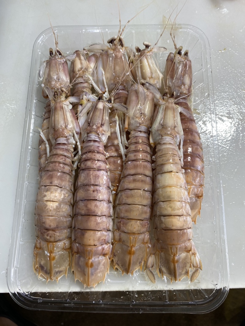 【质量稳定】北海皮皮虾虾爬子赖尿虾各规格齐全海虾