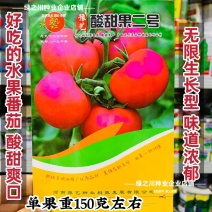豫艺酸甜果草莓番茄种子酸甜果二号水果番茄种籽草莓柿子种籽
