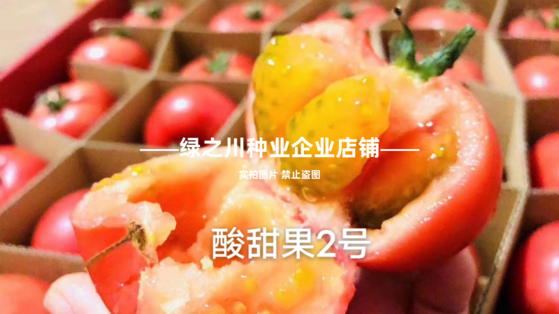 豫艺酸甜果草莓番茄种子酸甜果二号水果番茄种籽草莓柿子种籽