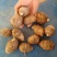 芋头大量上市，分级挑选，一手货源，保质保量全国发货