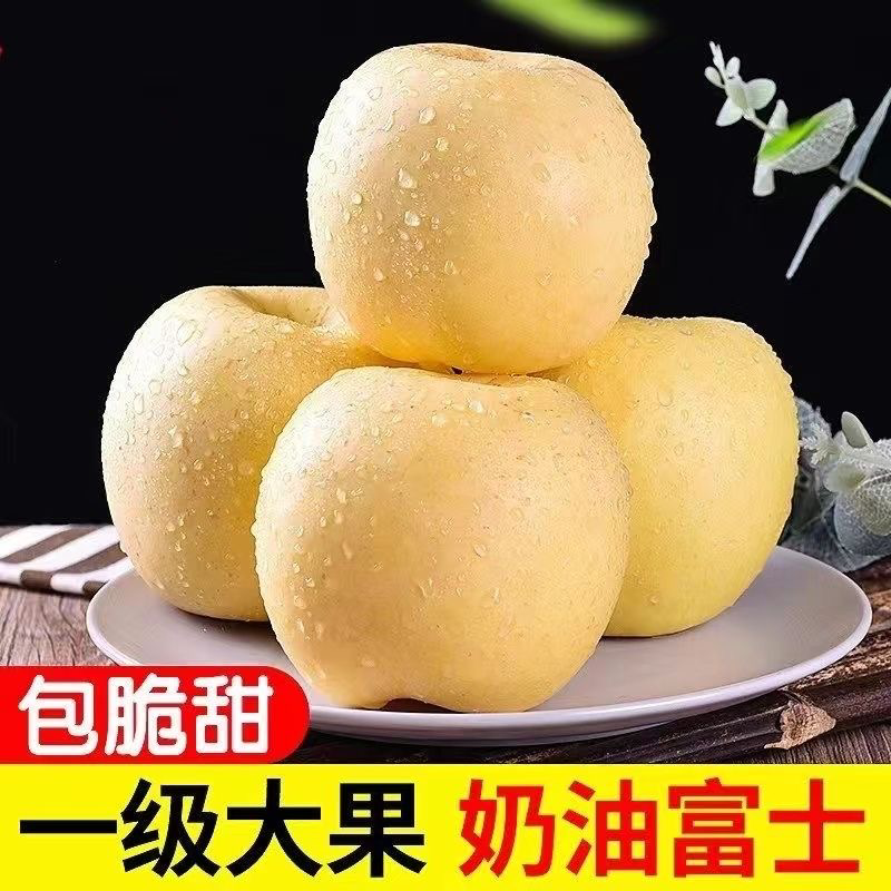 山东烟台【黄金奶油富士苹果】新鲜水果冰糖心电商一件代发