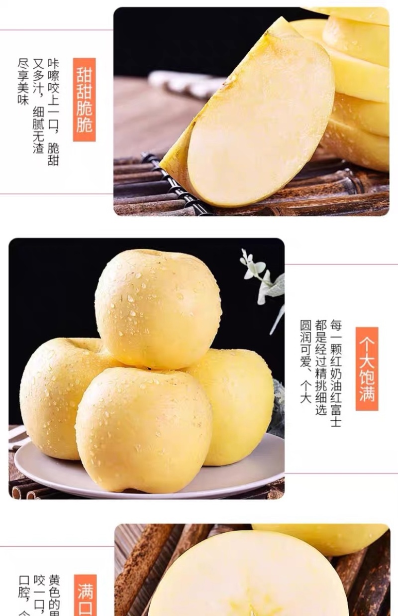 山东烟台【黄金奶油富士苹果】新鲜水果冰糖心电商一件代发