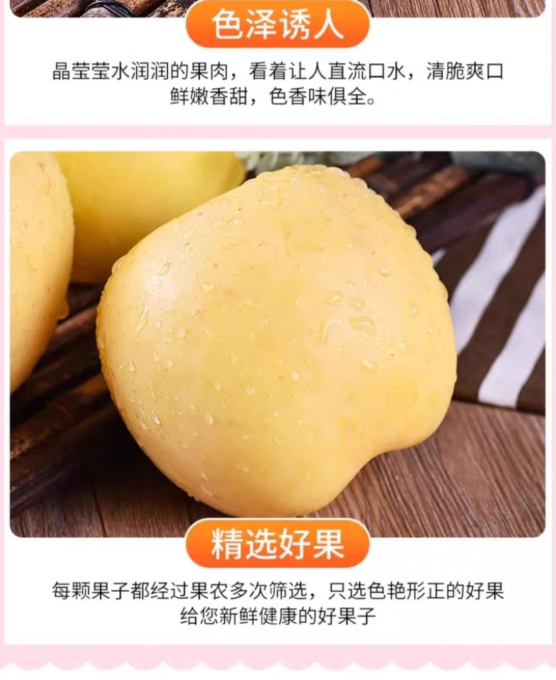 山东烟台【黄金奶油富士苹果】新鲜水果冰糖心电商一件代发