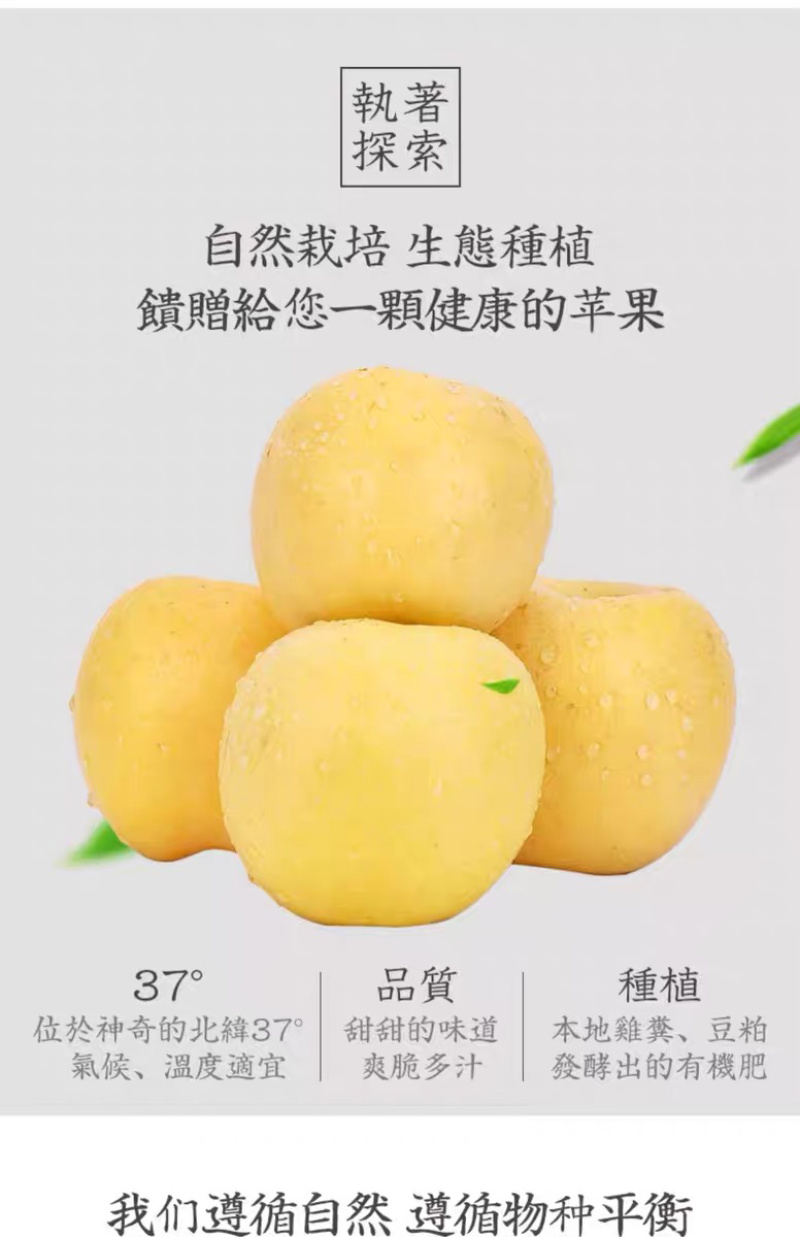山东烟台【黄金奶油富士苹果】新鲜水果冰糖心电商一件代发