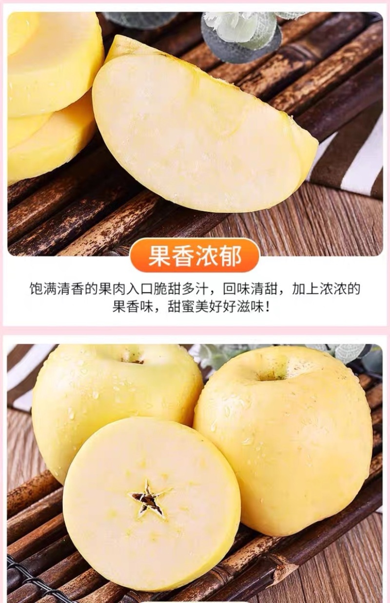 山东烟台【黄金奶油富士苹果】新鲜水果冰糖心电商一件代发