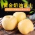 山东烟台【黄金奶油富士苹果】新鲜水果冰糖心电商一件代发
