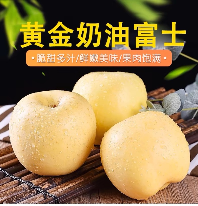 山东烟台【黄金奶油富士苹果】新鲜水果冰糖心电商一件代发