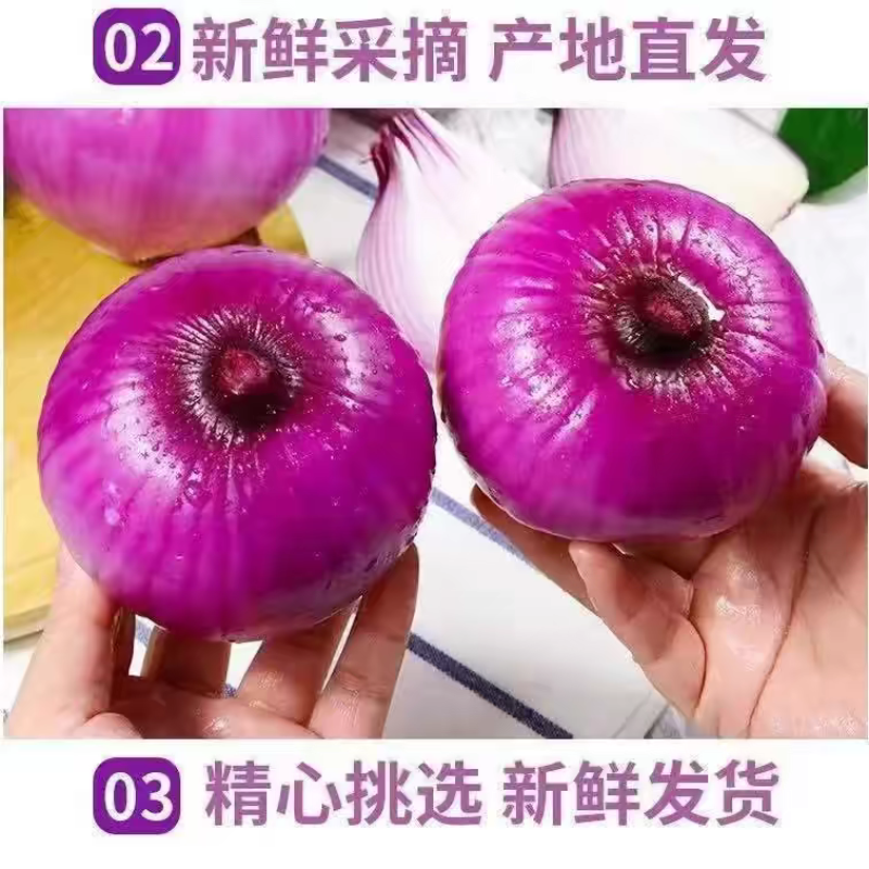 洋葱/精品洋葱/紫皮洋葱/品种齐全/全国发货代办