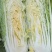 章丘大白菜，欢迎新老客户致电采购，量大，品质好，