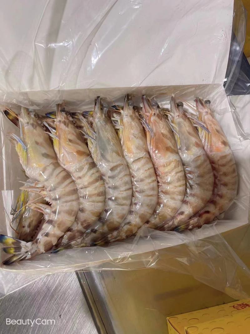 海南冷冻红脚虾