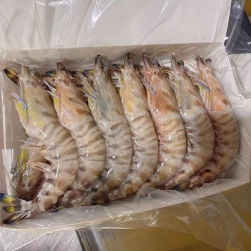 海南冷冻红脚虾