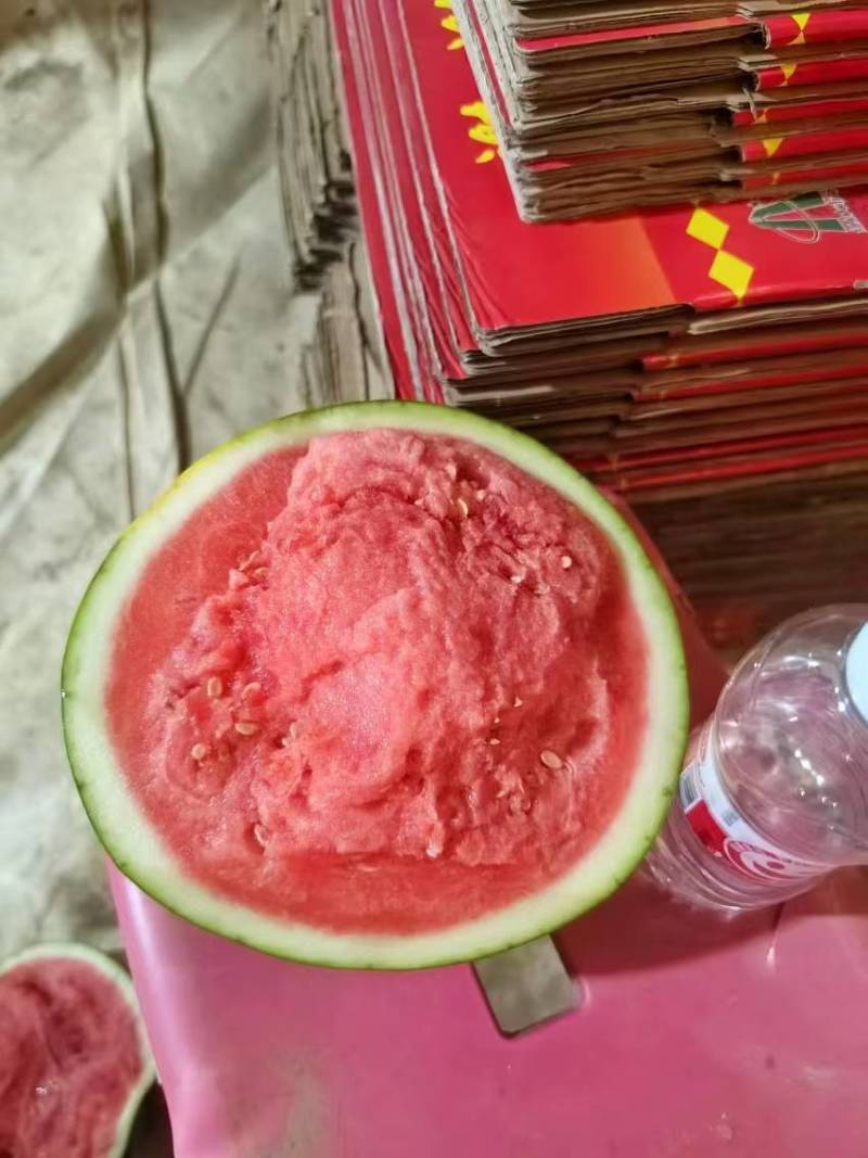 河南夏邑[美都西瓜]对接大型商超档口可视频欢迎