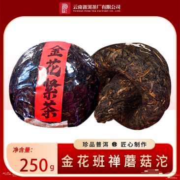 【精品】2010年茶叶普洱沱茶--班禅金花沱（生）