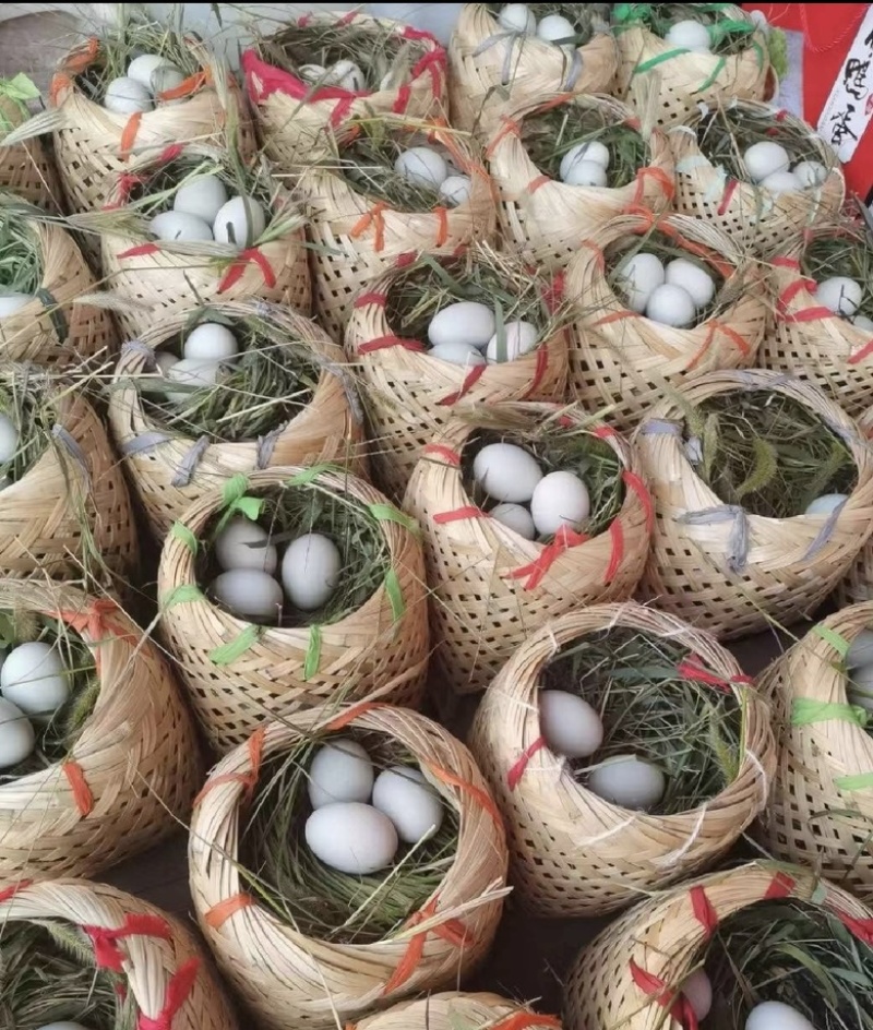白洋淀特色烤海鸭蛋，咸鸭蛋，个个爆油，送礼佳品