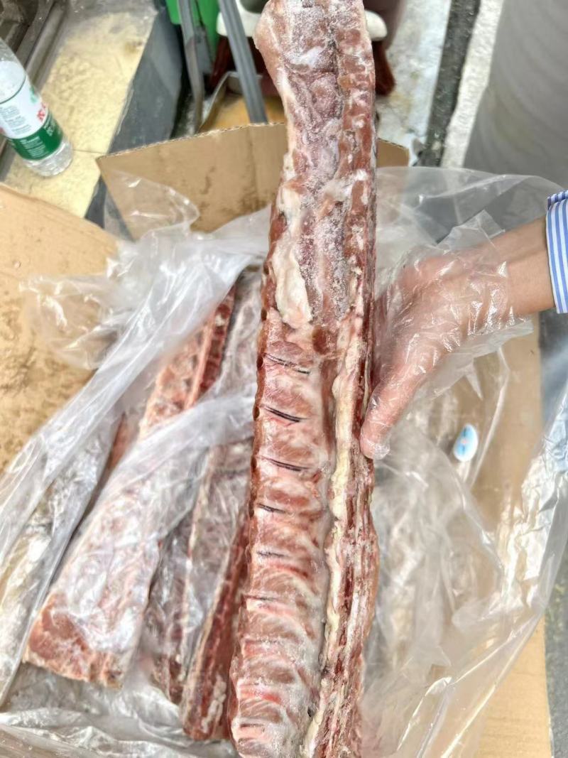 肥猪龙骨