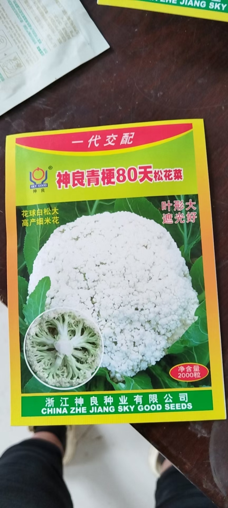 花菜苗，青梗松散有机菜花苗，高抗病毒，耐死棵