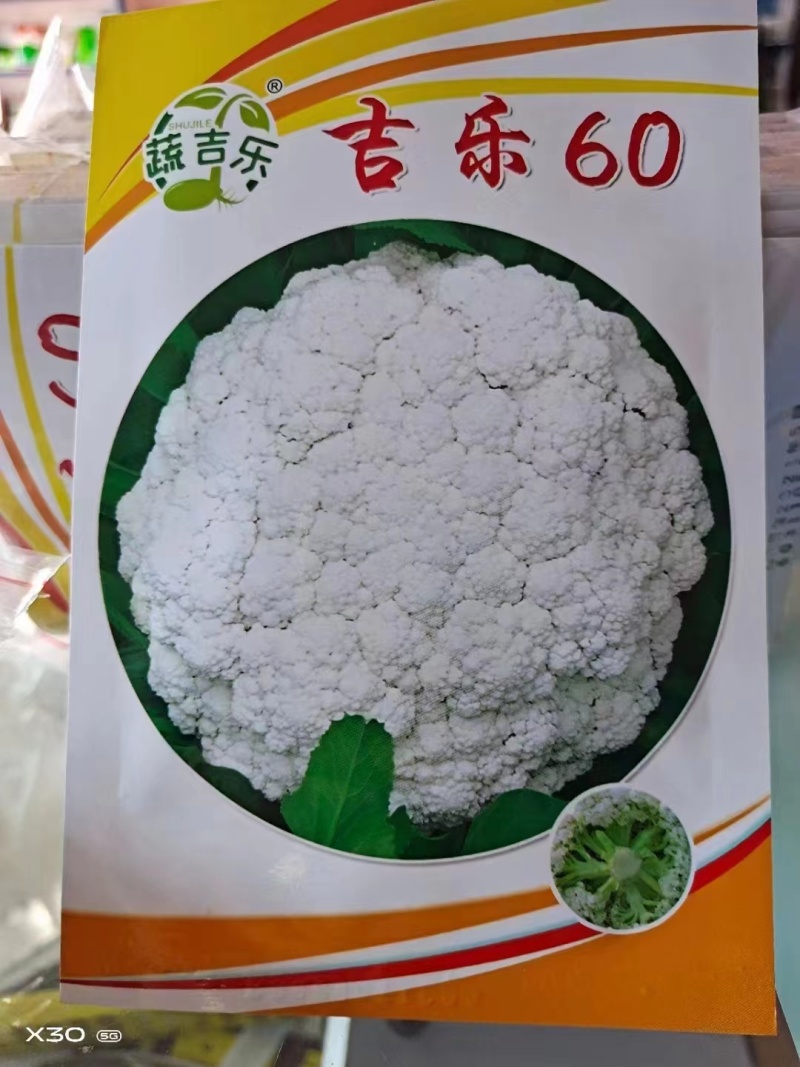 花菜苗，青梗松散有机菜花苗，高抗病毒，耐死棵