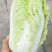 云南精品大娃娃菜产地直发品质保证量大从优欢迎联系