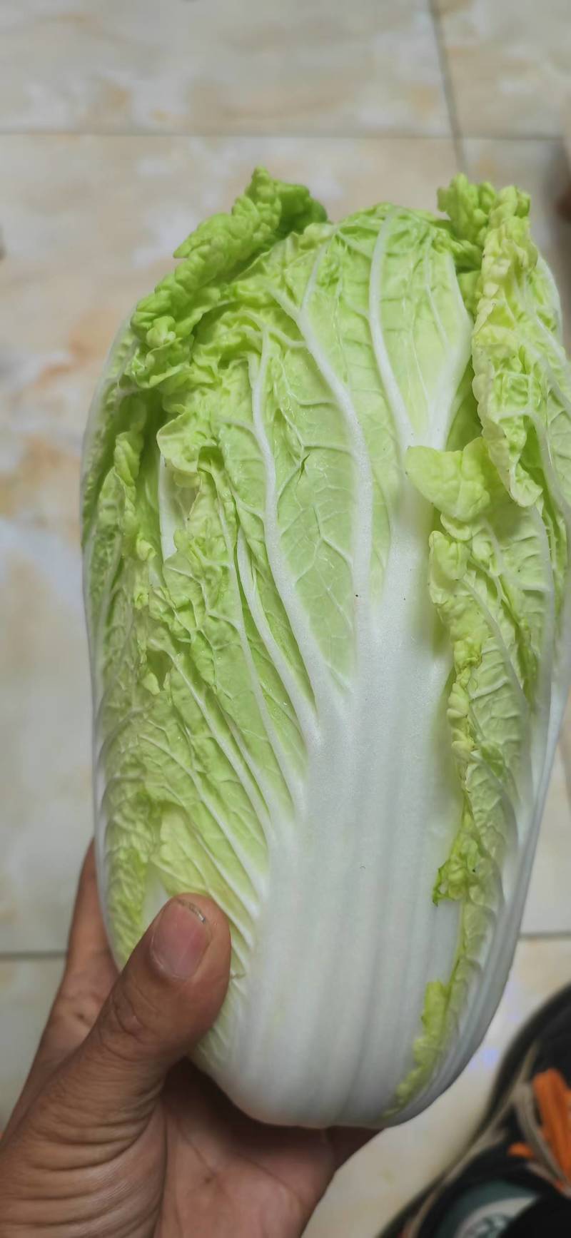 云南精品大娃娃菜产地直发品质保证量大从优欢迎联系